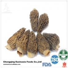 dried morchella esculenta - product's photo