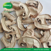  king bolete mushrooms - product's photo