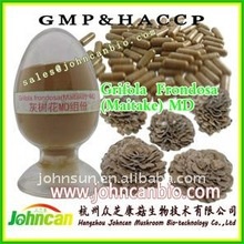 maitake mushroom p.e. - product's photo