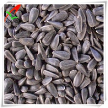  black oil sunflower seeds for oil - product's photo