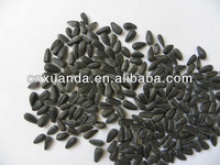 new hulled black oil sunflower oil seeds - product's photo