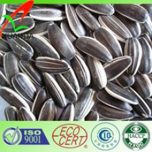  chinese 5009 sunflower seed - product's photo