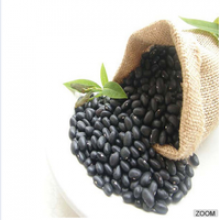 big black beans for sale/non-gmo - product's photo