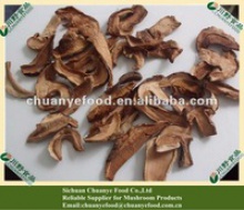 dried edible boletus(boletus edulis) - product's photo