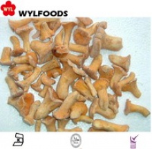  frozen chanterelle mushrooms - product's photo