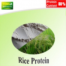 food grade organic rice protein - product's photo