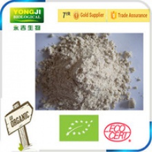 organic rice protein - product's photo
