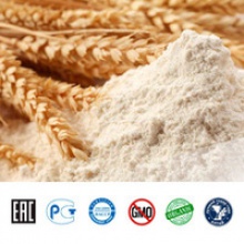 bulk wheat gluten flour - product's photo