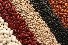 red and white kidney beans - product's photo
