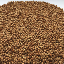 buckwheat - product's photo