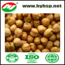 9mm chickpeas with high quality - product's photo