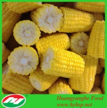 frozen sweet corn cuts (high quality) - product's photo