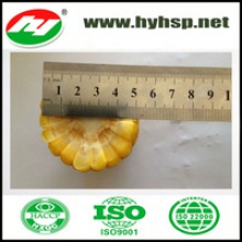 frozen sweet corn cob 5cm cuts - product's photo