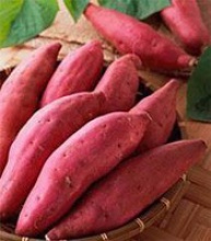 fresh sweet potatoes - product's photo