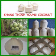 fresh young coconut - product's photo