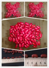 dark red kidney bean 2014 crop hps size:200-220pcs - product's photo