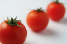 vine tomatoes - product's photo