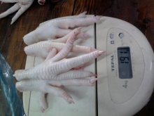 frozen chicken wings , feet , paws , mid wing , leg quarters - product's photo