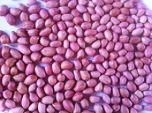 peanuts kernels tj-java - product's photo