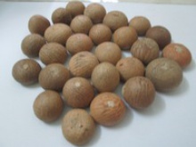 dried betel nut - product's photo