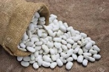 flat white kidney beans, 155, 165, 175/100gr - product's photo