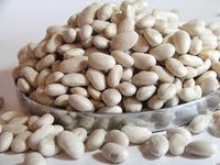 white pea beans (navy beans) - product's photo