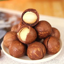 new macadamia nuts - product's photo