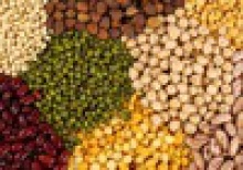 all kind of indian pulses exporters - product's photo