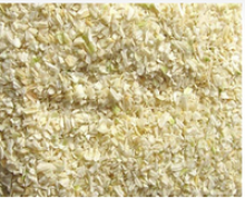  frozen dried dehydrated onion - product's photo
