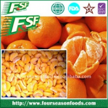 frozen mandarin/orange segment - product's photo