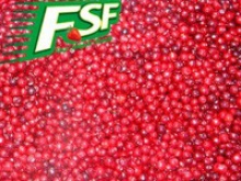 frozen lingonberry, red and delicious berry - product's photo