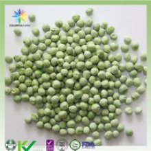  green melon balls  - product's photo