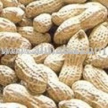 peanuts in shells - product's photo