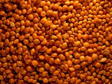 red millet - product's photo