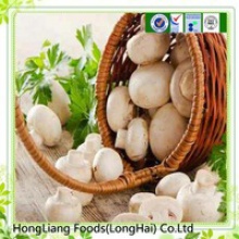  fresh white button mushroom - product's photo