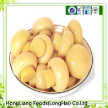 chinese fresh canned mushroom - product's photo