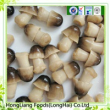 fresh canned straw mushroom - product's photo