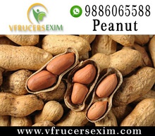best quality groundnut - product's photo