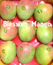 fresh mango r2e2 - product's photo