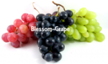  fresh red grape crimson - product's photo