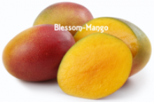  mango honey gold calypso - product's photo