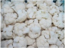 white chiese cauliflower - product's photo