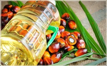 palm oil malaysia - product's photo