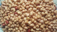ground nut kernel - product's photo
