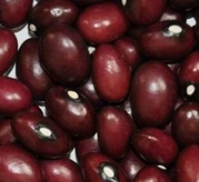 sell zisha red purple kidney beans - product's photo