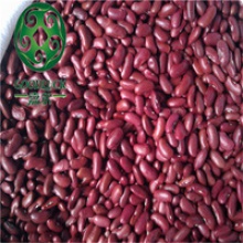 dry red kidney beans - product's photo