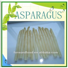 canned white asparagus spears - product's photo
