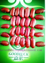high quality red light speckled kidney beans - product's photo