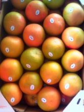 grapefruits - product's photo