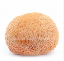 dried bearded tooth mushroom - product's photo